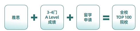 2025年新东方国际教育脱产A Leve